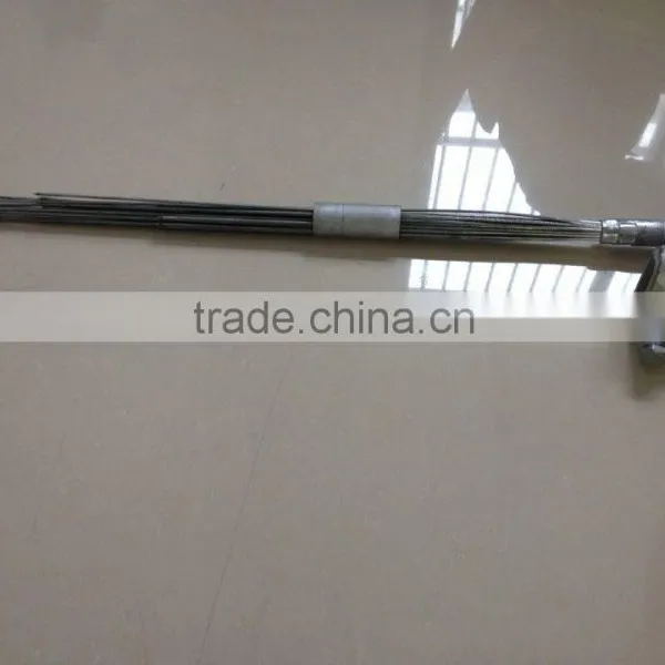Bird Thorn photo-4