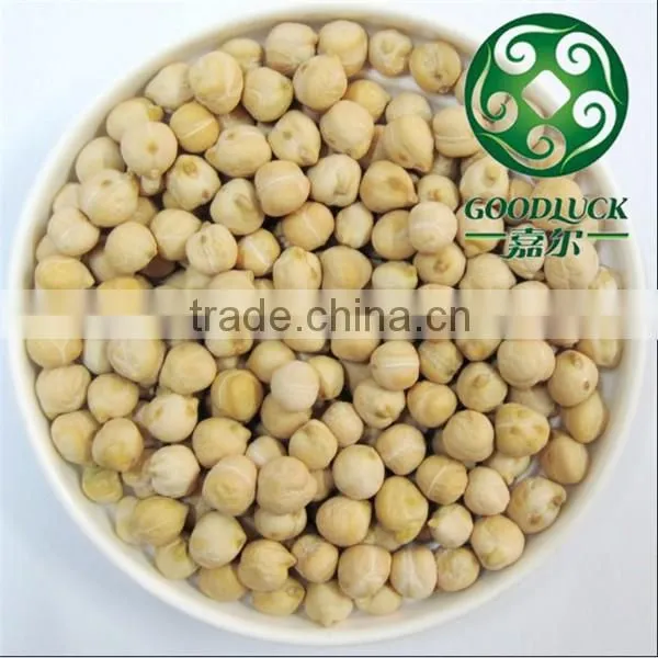 Wholesale China Chickpeas of Xinjing Origin(2013 Crop) Quality Choice photo-3