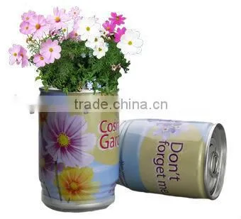 Flower Can,can Flower,flower Tin photo-4