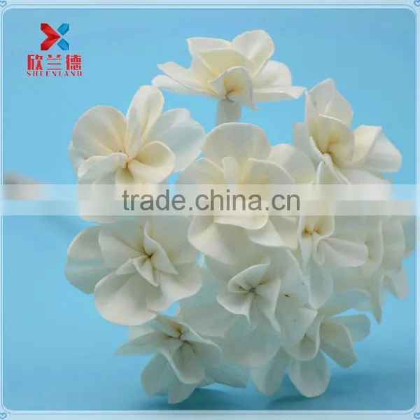 Most Popular Decorative Natural White Dried Flower Wooden Sticks Wholesale With Cheap Price photo-5