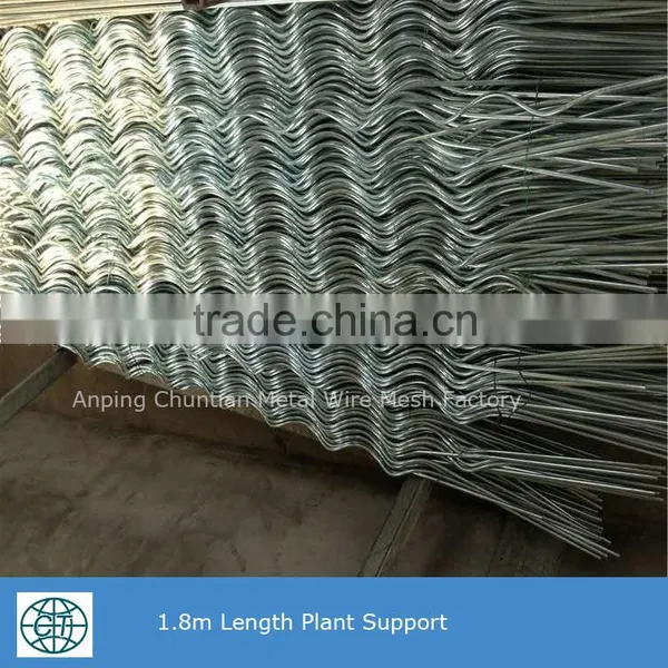 Glavanized Steel Bar Tomato Spiral Support Rod for Plant Climbing photo-5