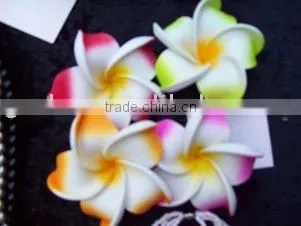 Foam Flower