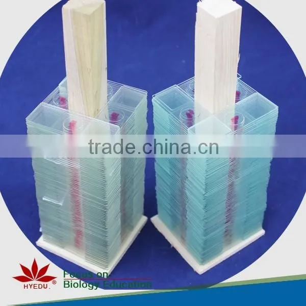 Hot Sale 50pcs Student Mixed Microscope Prepared Slides Set photo-5