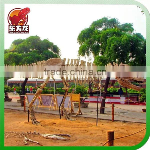 The Dinosaur Fossil Model for Sale