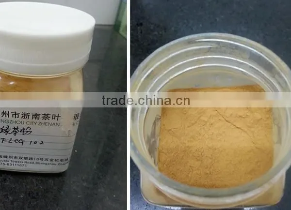 Green Tea Powder 1 kg photo-2