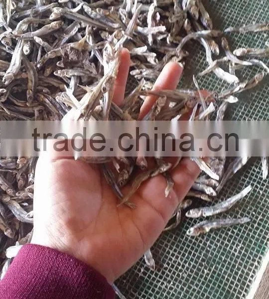 DRIED ANCHOVY FISH