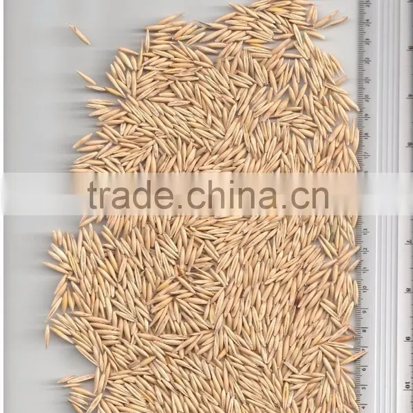 OATS photo-3