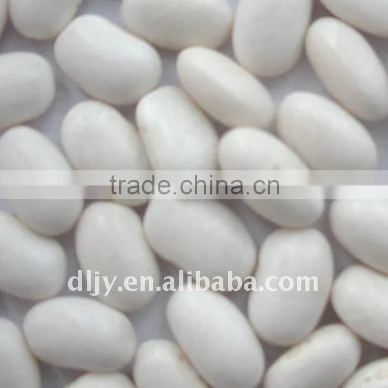 Japanese Type White Kidney Bean New Crop 2016