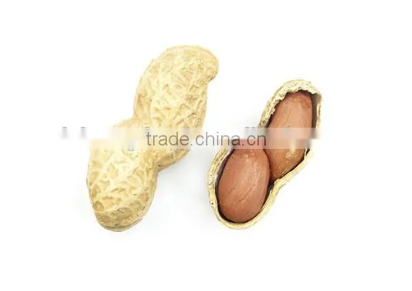 Best Peanuts With Top Grade From China photo-6
