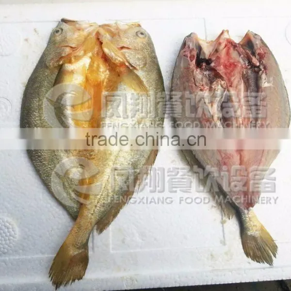 CE Approved FGB-170 Fish Belly Splitting Machine photo-5