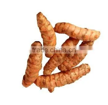 Turmeric Finger