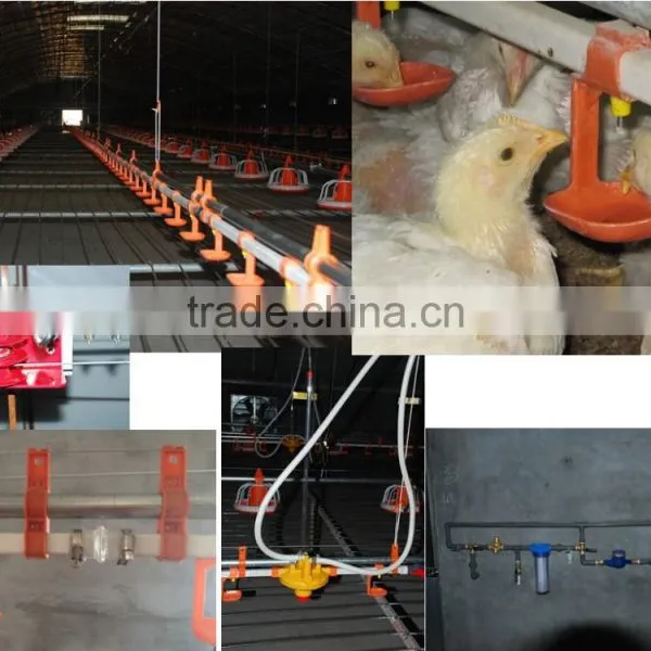 Chicken Feeding System photo-4