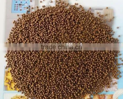 New Design High Quality Floating-feed Pellet Dryer Machine photo-4