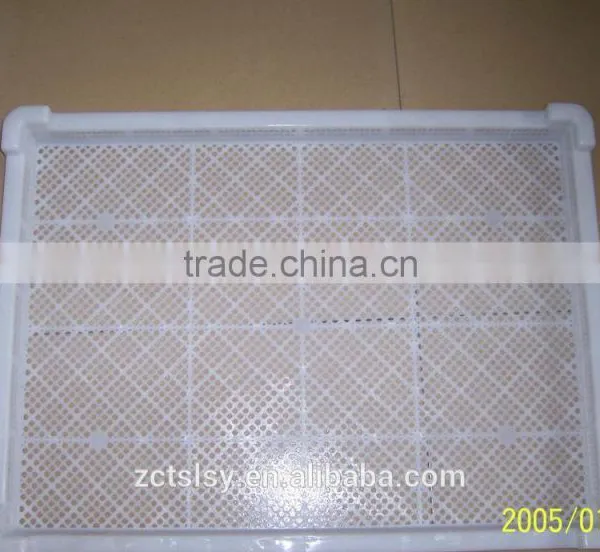 2017 PE Type Frozen Food Plastic Tray photo-3