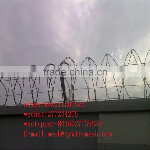 2017 High Quality Galvanized Welded Razor Wire Mesh/Blade Concertina Razor Barbed Wire Export photo-6