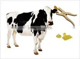 HF/ UHF Animal Identification Rfid Tag for Cattle/cow/ Livestock photo-5