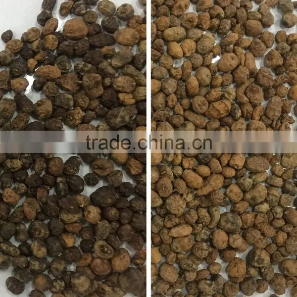 ZRWS Ccd Cereal Nut Color Sorter Supplier With Competitive Price photo-3