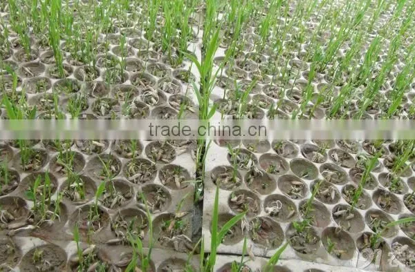 434 Cell, 353 Cell Colorful PVC Rice Seedling Tray Type photo-3