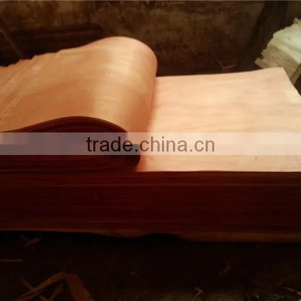 Linyi Grade a b c 0.5mm 1220x2440 Decorative Natural Okoume Face Veneer photo-3