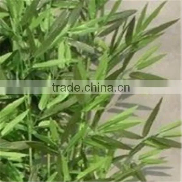 Beautiful Artificial Green Bamboo Plant,cheap Artificial Bamboo photo-2