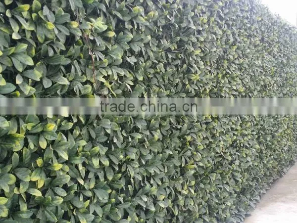 SJ04001115 High Quality Plastic Artificial Grass Turf Mat photo-3