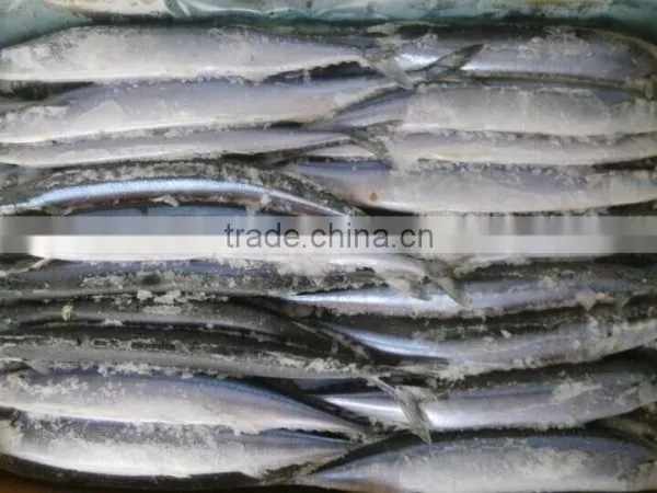 New Catching Frozen Pacific Saury 120-140 1# Size Hot Sale photo-2