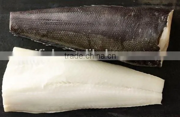 Patagonian Toothfish photo-2