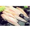 Frozen Alaska Pollock Fillet
