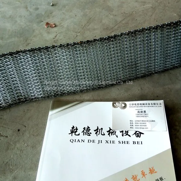 Conveyor Belt, Mesh Belt Conveyor, Shandong Manufacturer photo-4