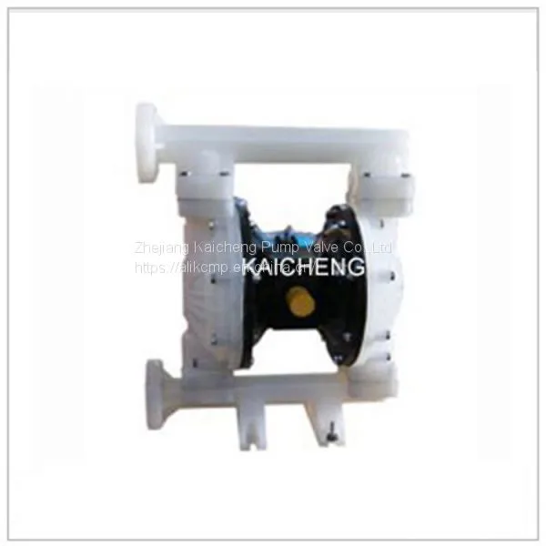 QBY Duplex diaphragm pump