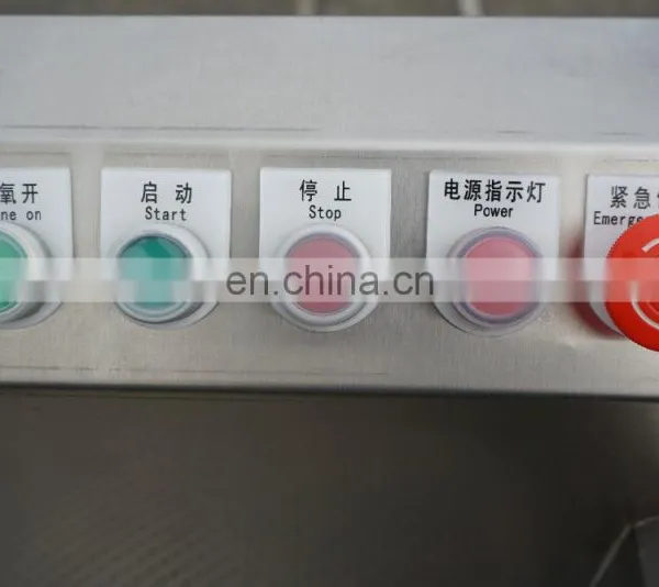 Commercial Automatic Ozone Air Tomato Bean Mushroom Vegetable Bubble Washing Machine photo-6