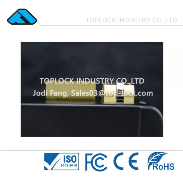Electric Rim Door Lock Electronic Lock With Brass Roll Black Spray photo-2