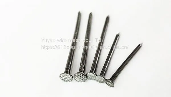 Common Nail/ Iron Nail/ Wire Nails photo-2
