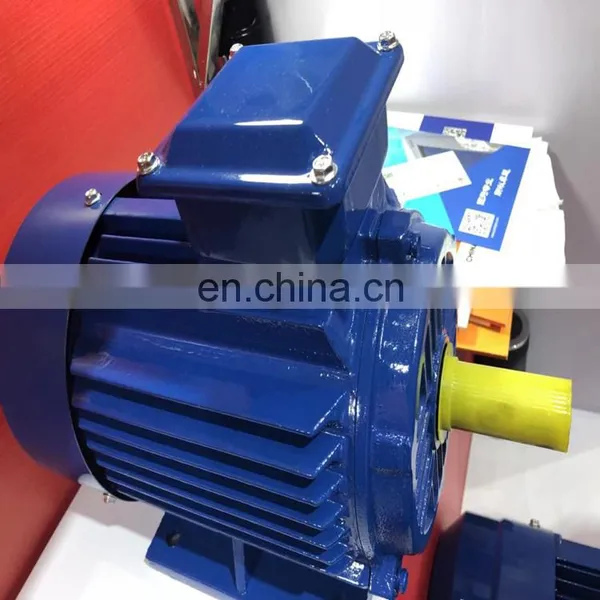 Induction Motor 60kw photo-4