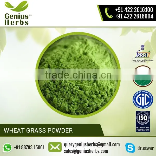 High Grade Wheat Grass Powder For OEM photo-4