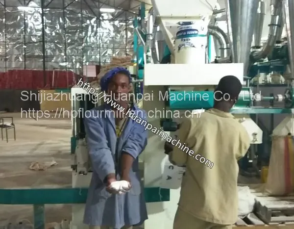 Corn Maize Flour Making Machine Corn Maize Grits Flour Milling Machine Corn Flour Mill photo-5