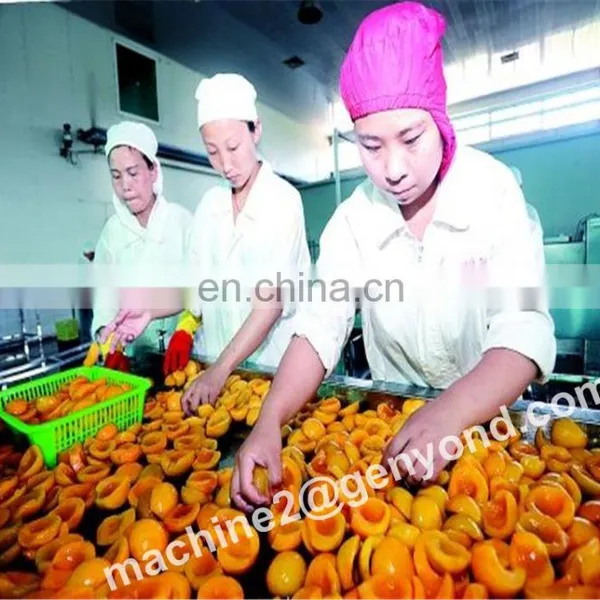 Custom Made Canning Fruit Plant With High Quality photo-5