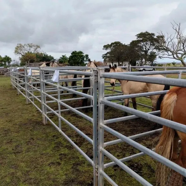 High Quality Durable Galvanized Metal Livestock Pen Panels Modern Horse Yard photo-5
