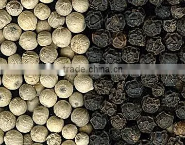 VietNam White Pepper With Lowest Price