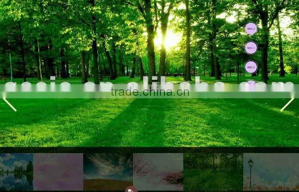 Flash Website, Flash Design, High Quality Flash Design photo-2