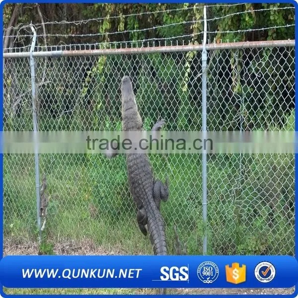 Used Chain Link Fence Post /vinyl Coated Chain Link Fence Specifications Qunkun photo-5