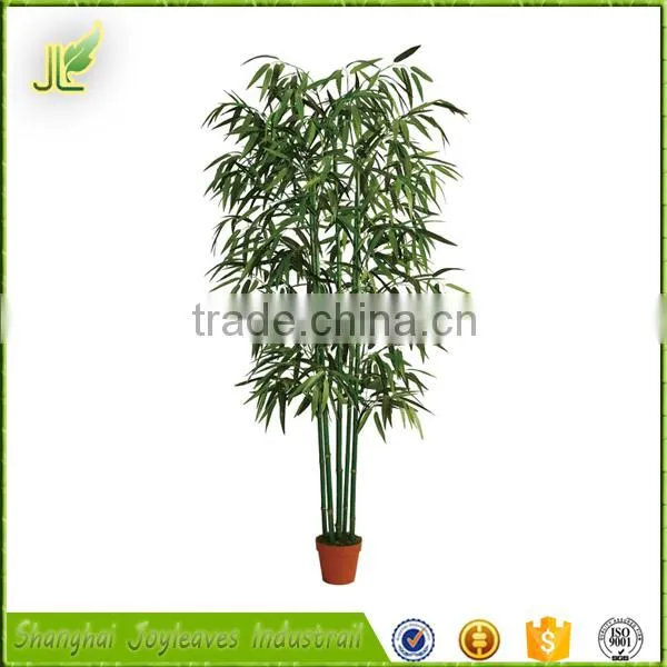 Combined Wholesale Factory Direct Low Price Bamboo Bonsai Tree photo-5