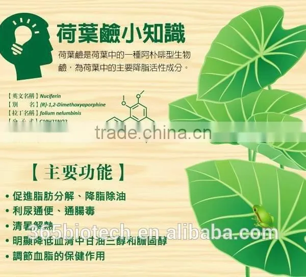 Corporate Gift photo-2