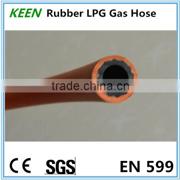 Automobile Engine CNG Gas Hose