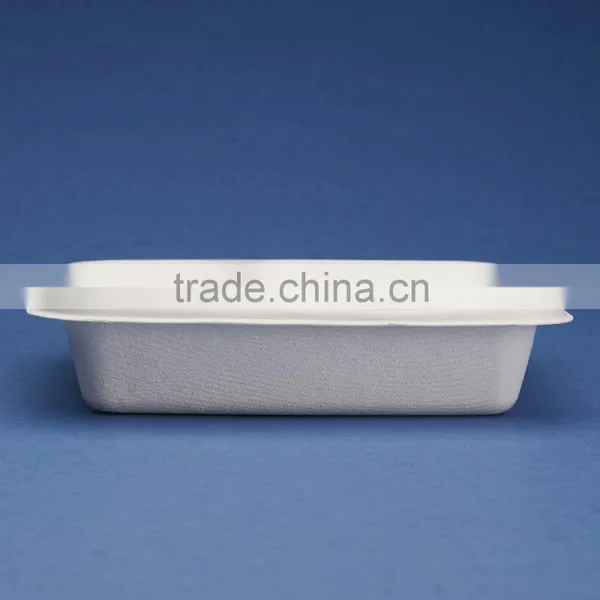 Sugercane 7x6 Inch 2 Compartment Tray photo-2