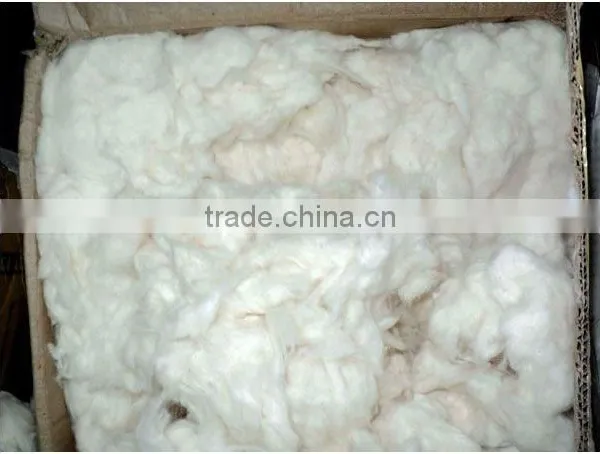 Cotton Comber Noil photo-3