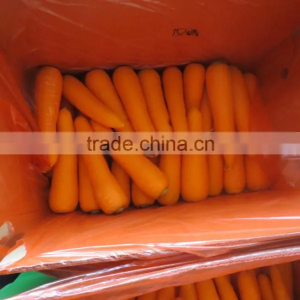2014 Best Price Fresh Frozen Carrots Slice photo-3