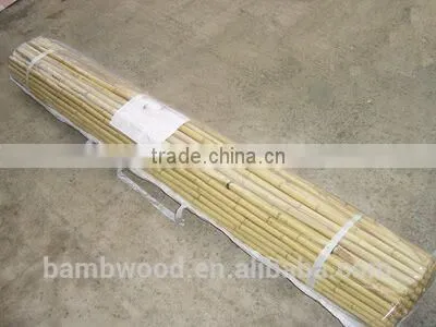 Colored Bamboo Fence photo-2