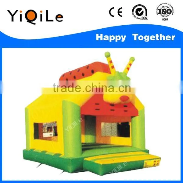Inflatable Boucer for Sale Bouncy Castles Inflatable China photo-2