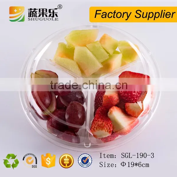 Disposable Plastic Fresh Fruit Salad Packaging Container photo-4